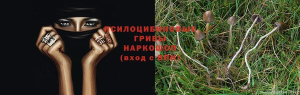 ГАЛЛЮЦИНОГЕННЫЕ ГРИБЫ Тихорецк