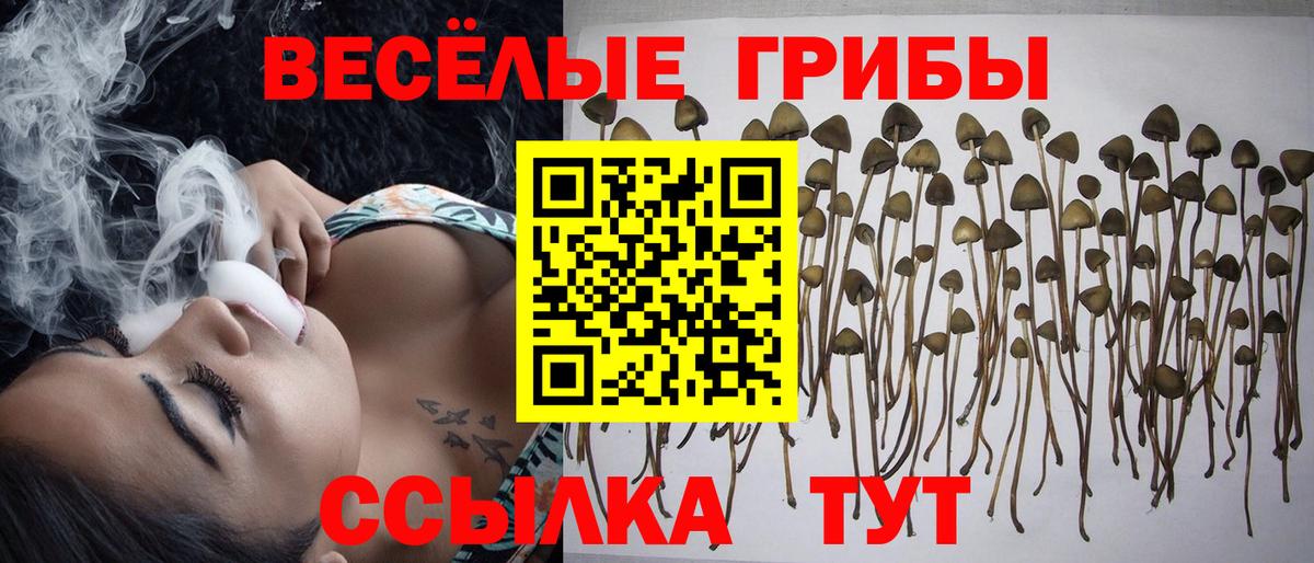 Галлюциногенные грибы ЛСД  Псилоцибиновые грибы Psilocybe  Сызрань  Вход с VPN 