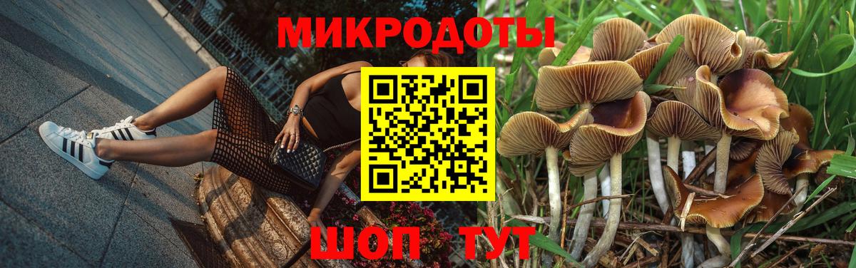 Галлюциногенные грибы прущие грибы Сызрань